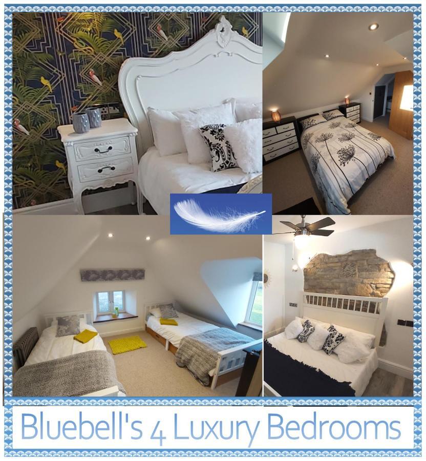Вилла Bluebell House 5 Star Holiday Let Сомертон Экстерьер фото